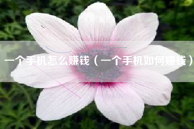 一个手机怎么赚钱（一个手机如何赚钱）