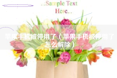 苹果手机被停用了（苹果手机被停用了怎么解除）