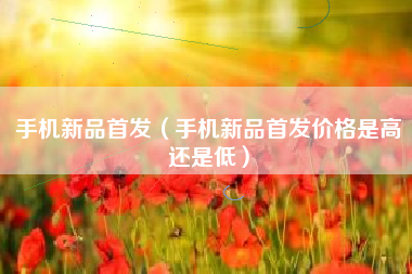 手机新品首发（手机新品首发价格是高还是低）