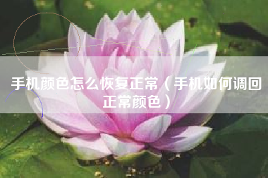 手机颜色怎么恢复正常（手机如何调回正常颜色）