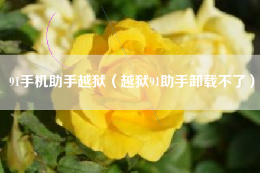 91手机助手越狱（越狱91助手卸载不了）