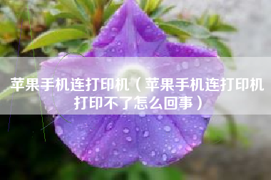 苹果手机连打印机（苹果手机连打印机打印不了怎么回事）