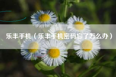 乐丰手机（乐丰手机密码忘了怎么办）