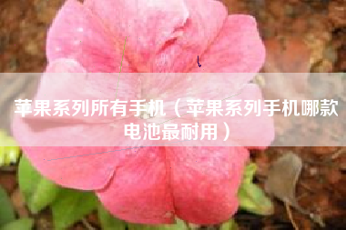 苹果系列所有手机（苹果系列手机哪款电池最耐用）