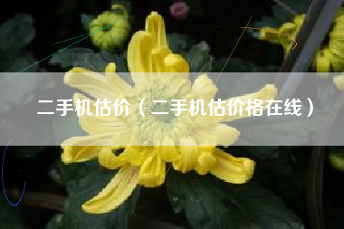 二手机估价（二手机估价格在线）
