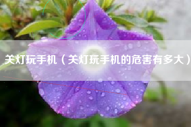 关灯玩手机（关灯玩手机的危害有多大）