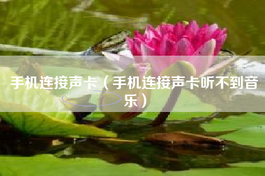 手机连接声卡（手机连接声卡听不到音乐）