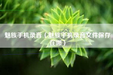 魅族手机录音（魅族手机录音文件保存在哪）