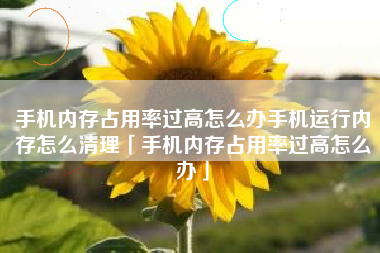 手机内存占用率过高怎么办手机运行内存怎么清理「手机内存占用率过高怎么办」