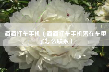 滴滴打车手机（滴滴打车手机落在车里了怎么联系）