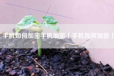 手机如何加密手机加密「手机如何加密」