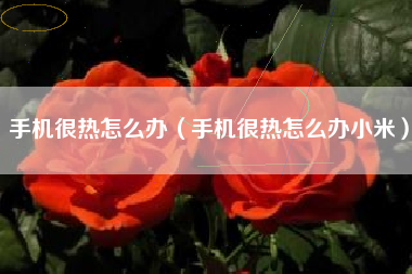 手机很热怎么办（手机很热怎么办小米）