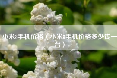 小米8手机价格（小米8手机价格多少钱一台）