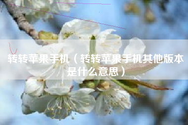 转转苹果手机（转转苹果手机其他版本是什么意思）