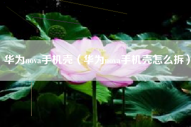 华为nova手机壳（华为nova手机壳怎么拆）