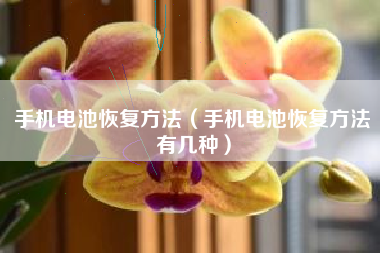 手机电池恢复方法（手机电池恢复方法有几种）