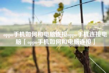 oppo手机如何和电脑连接oppo手机连接电脑「oppo手机如何和电脑连接」