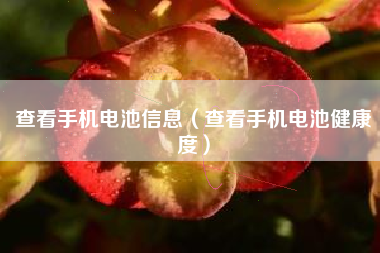 查看手机电池信息（查看手机电池健康度）