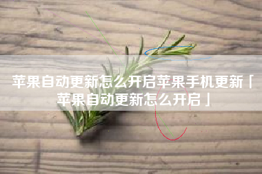 苹果自动更新怎么开启苹果手机更新「苹果自动更新怎么开启」