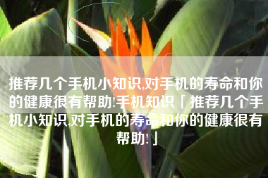 推荐几个手机小知识,对手机的寿命和你的健康很有帮助!手机知识「推荐几个手机小知识,对手机的寿命和你的健康很有帮助!」