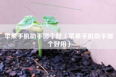 苹果手机助手哪个好（苹果手机助手哪个好用）