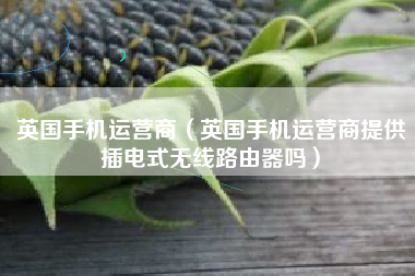 英国手机运营商（英国手机运营商提供插电式无线路由器吗）