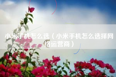 小米手机怎么选（小米手机怎么选择网络运营商）