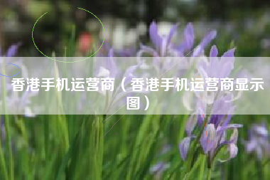 香港手机运营商（香港手机运营商显示图）