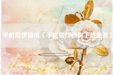 手机指纹锁屏（手机指纹锁屏下载免费）