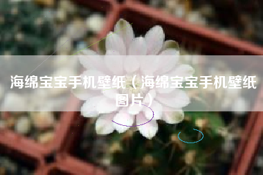 海绵宝宝手机壁纸（海绵宝宝手机壁纸图片）