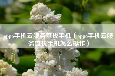 oppo手机云服务查找手机（oppo手机云服务查找手机怎么操作）