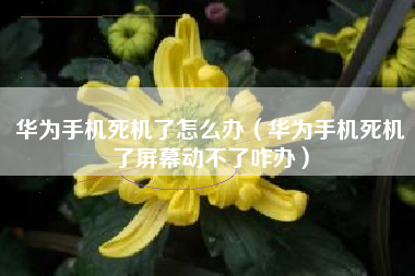 华为手机死机了怎么办（华为手机死机了屏幕动不了咋办）