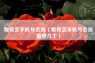 爱奇艺手机号会员（爱奇艺手机号会员能登几个）