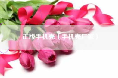 正版手机壳（手机壳厂家）