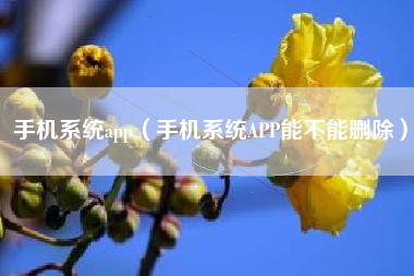 手机系统app（手机系统APP能不能删除）