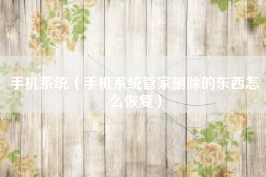 手机系统（手机系统管家删除的东西怎么恢复）