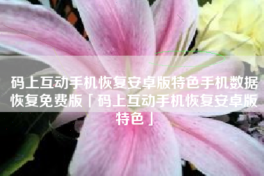 码上互动手机恢复安卓版特色手机数据恢复免费版「码上互动手机恢复安卓版特色」