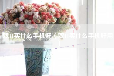 双11买什么手机好（双11买什么手机好用）