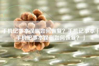 手机记事本误删如何恢复？手机记事本「手机记事本误删如何恢复？」