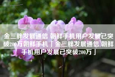 金三胖发展通信 朝鲜手机用户发展已突破200万朝鲜手机「金三胖发展通信 朝鲜手机用户发展已突破200万」