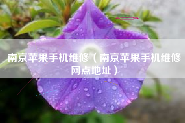 南京苹果手机维修（南京苹果手机维修网点地址）
