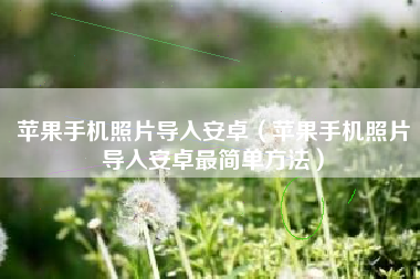 苹果手机照片导入安卓（苹果手机照片导入安卓最简单方法）