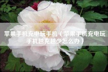 苹果手机充电玩手机（苹果手机充电玩手机越充越少怎么办）