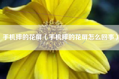 手机摔的花屏（手机摔的花屏怎么回事）