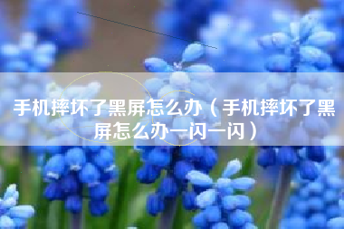 手机摔坏了黑屏怎么办（手机摔坏了黑屏怎么办一闪一闪）