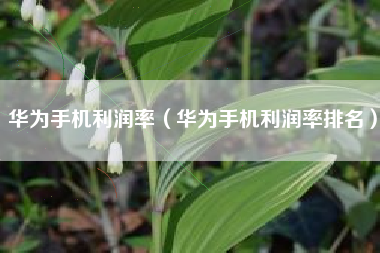 华为手机利润率（华为手机利润率排名）