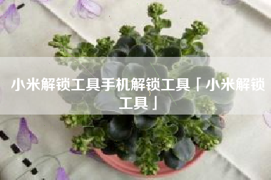 小米解锁工具手机解锁工具「小米解锁工具」