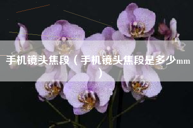 手机镜头焦段（手机镜头焦段是多少mm）