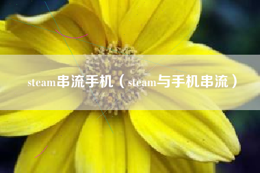 steam串流手机（steam与手机串流）