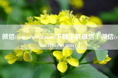 微信(com.tencent.mm)下载手机微信「微信(com.tencent.mm)」 微信(com.tencent.mm)下载手机微信「微信(com.tencent.mm)」